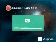 老毛桃win11免激活64位珍藏游戏版v2023.06