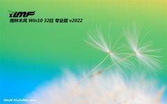 雨林木风win10流畅内部版32位v2022.09