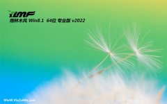 雨林木风win8.1免激活64位真正典藏版v2022.10