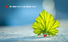 新萝卜家园win11最新64位中文修正版v2022.06